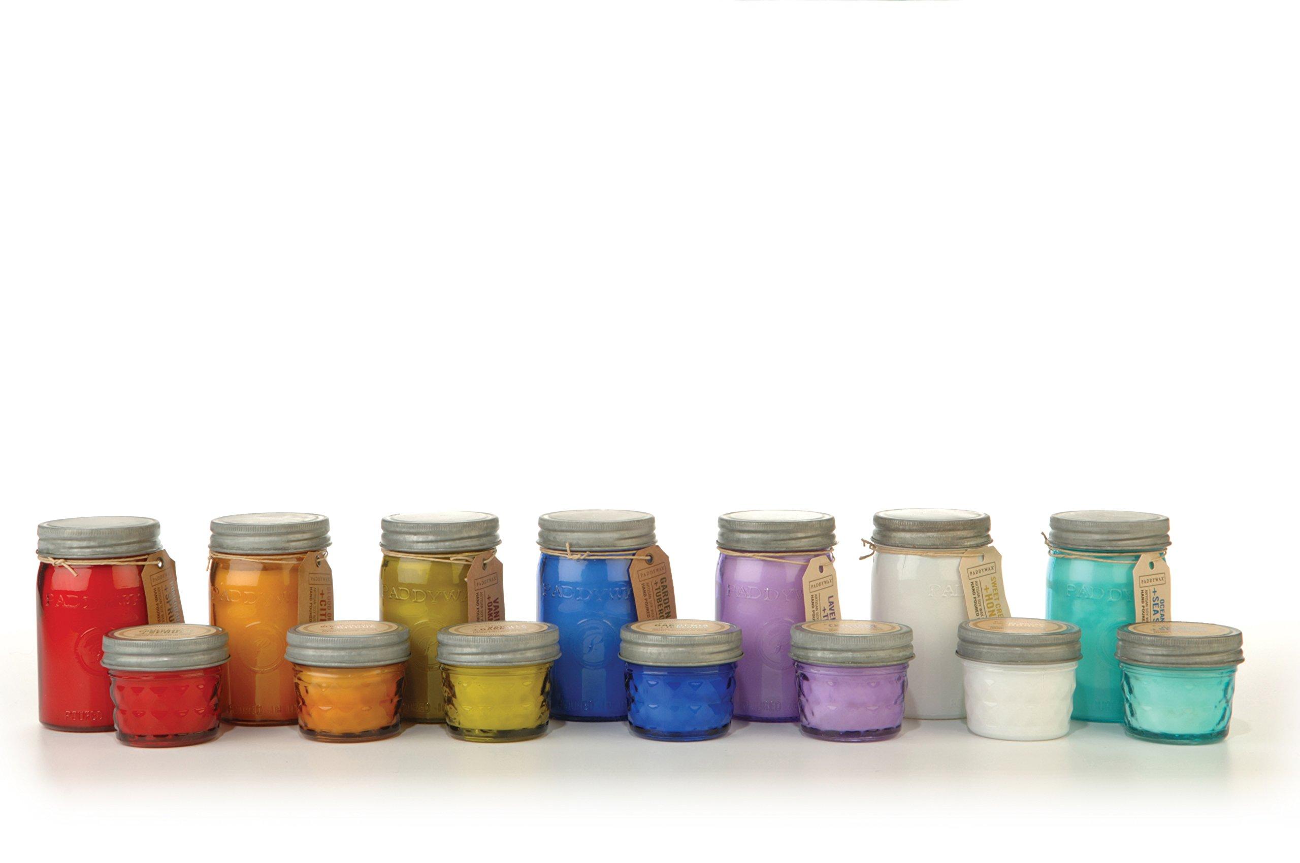 Paddywax Relish Collection Scented Soy Wax Jar Candle, 9.5Ounce