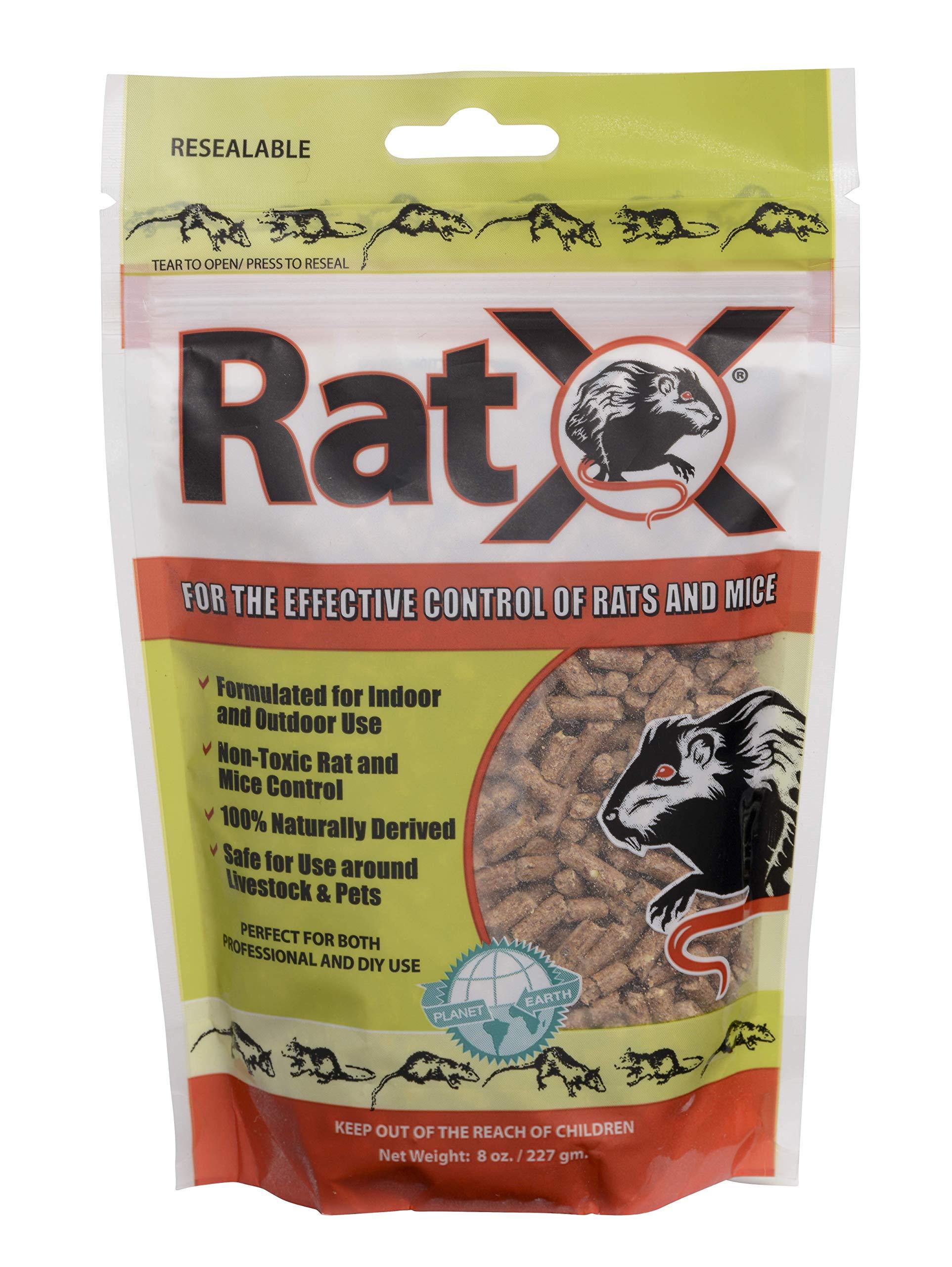 EcoClear Products 6201006D RatX AllNatural NonToxic Humane Rat and