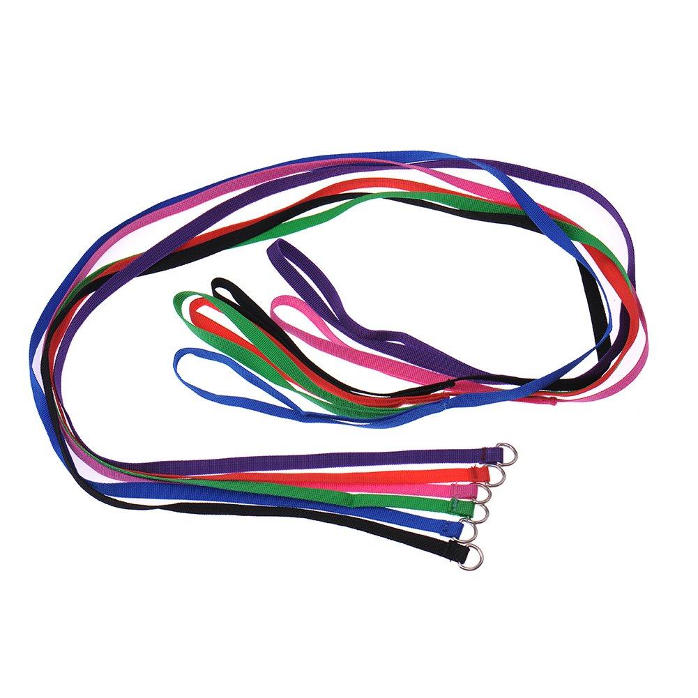 6 Pcs Bulk Pack Slip Leads Dog Pet Grooming Kennel Animal Control