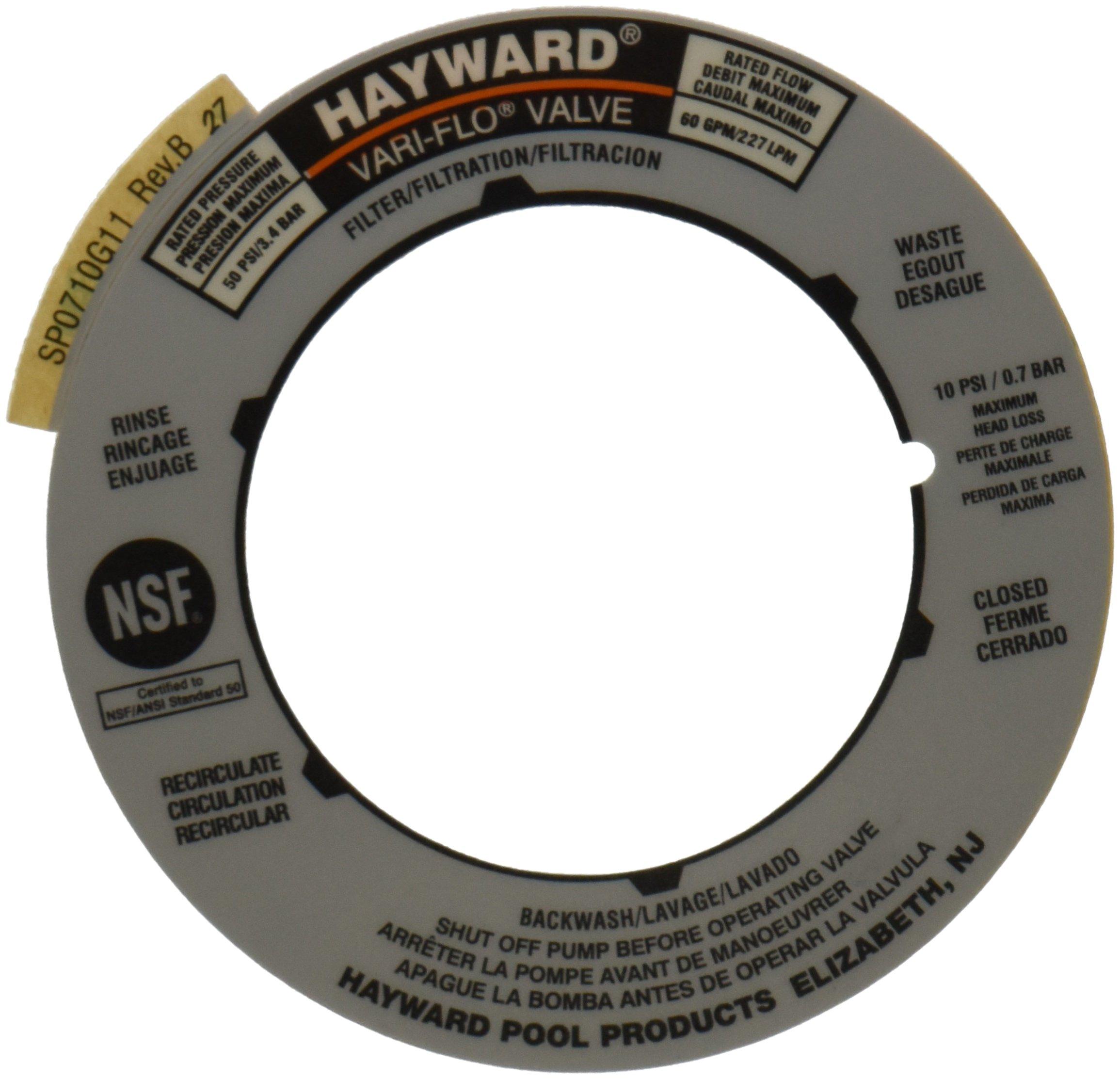 Hayward SPX0710G Label Plate Replacement for Hayward Multiport and Sand ...