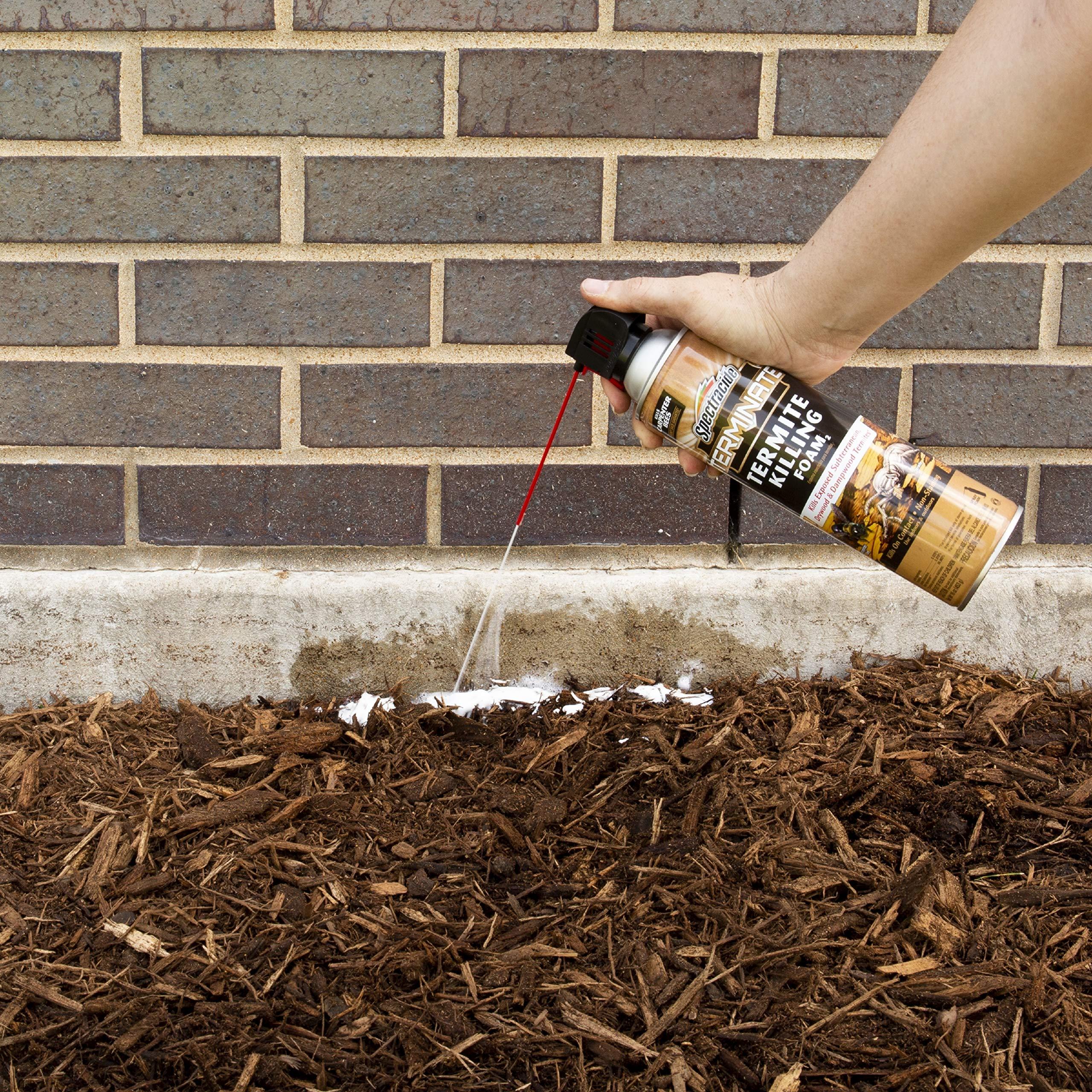 What Spray Kills Termites – How to Get Rid of Termites In Your Home ...